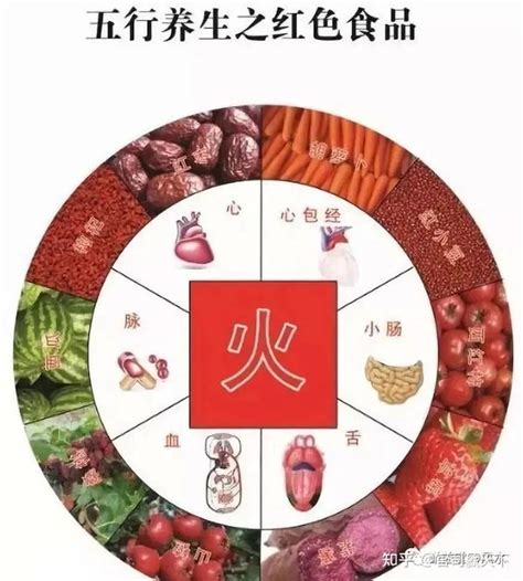 属火的东西|四季的五行属性及食物搭配